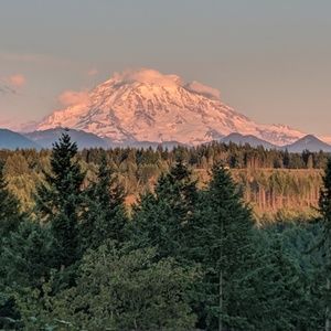 Meet your Posher, Lacey